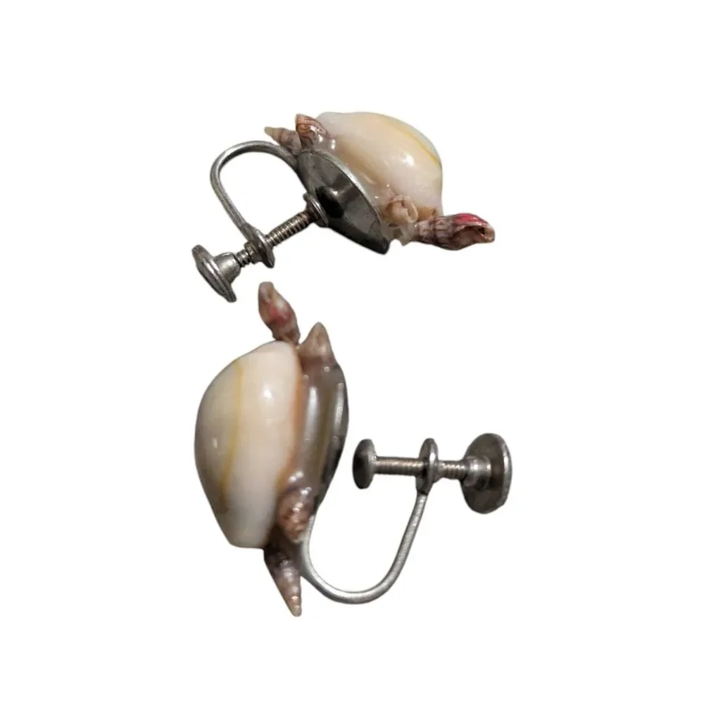 Vintage Sea Turtle Shell Screw Back Earrings, Natural Shell Turtle Earrings